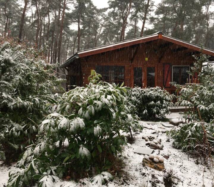 unique chalet in the woods near Maastricht