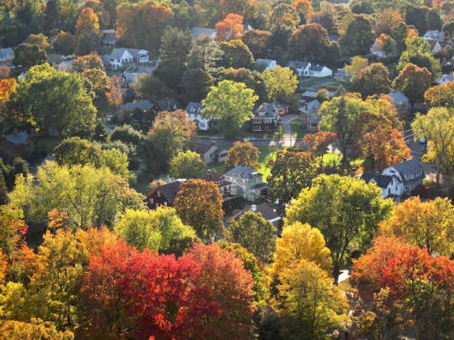 View from Poet's Seat Tower