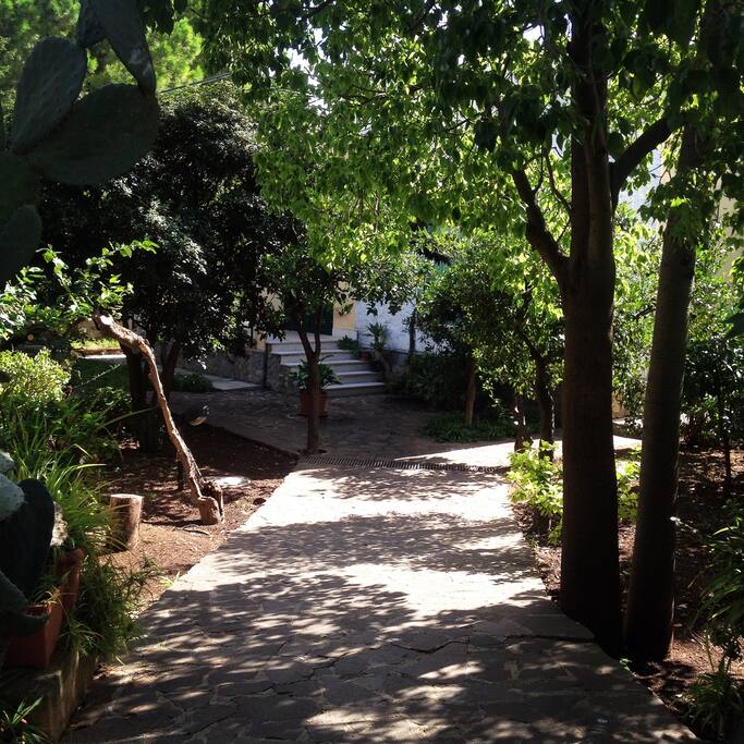 Giardino ingresso