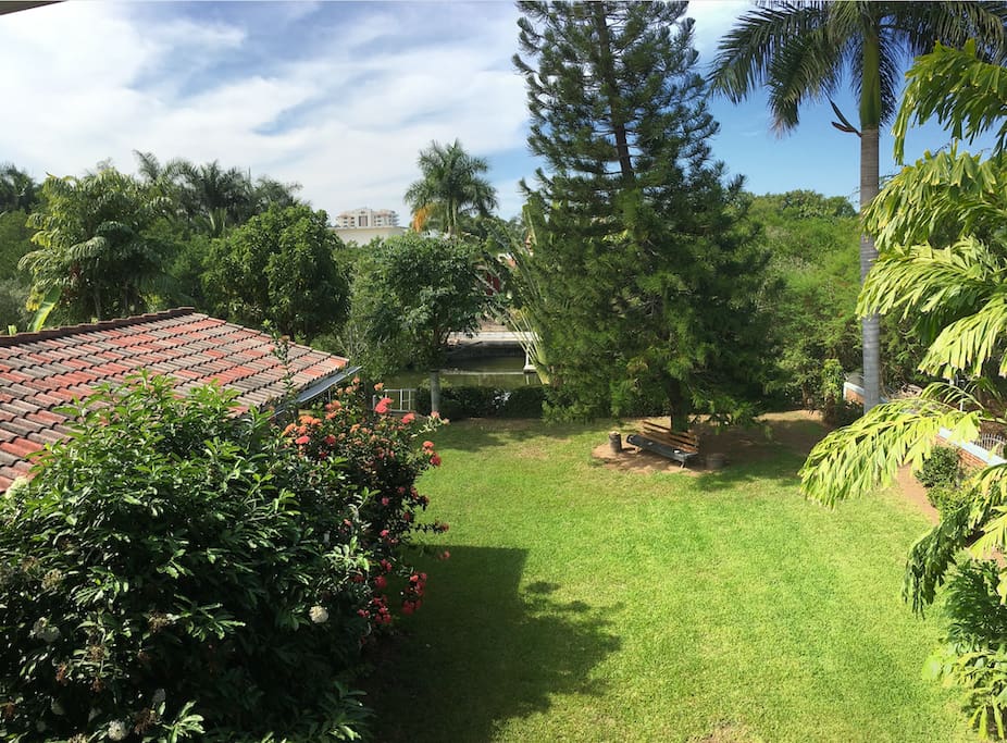 Vista del jardín
Backyard view