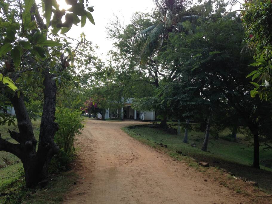 View from the entrance gate.