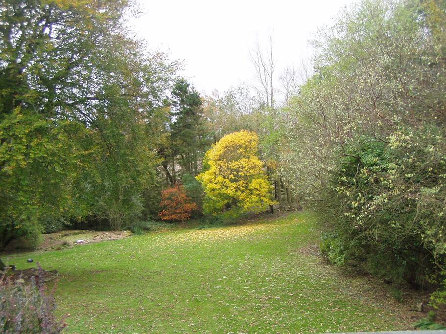 Andrewsford House Garden in the Autumn