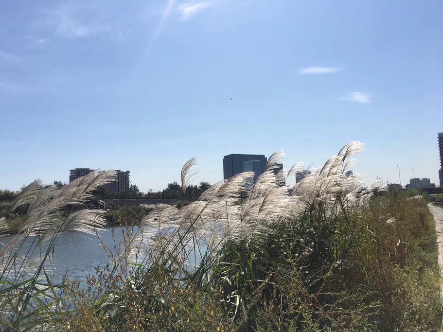 小区近邻五河交汇处,位于通惠河北岸