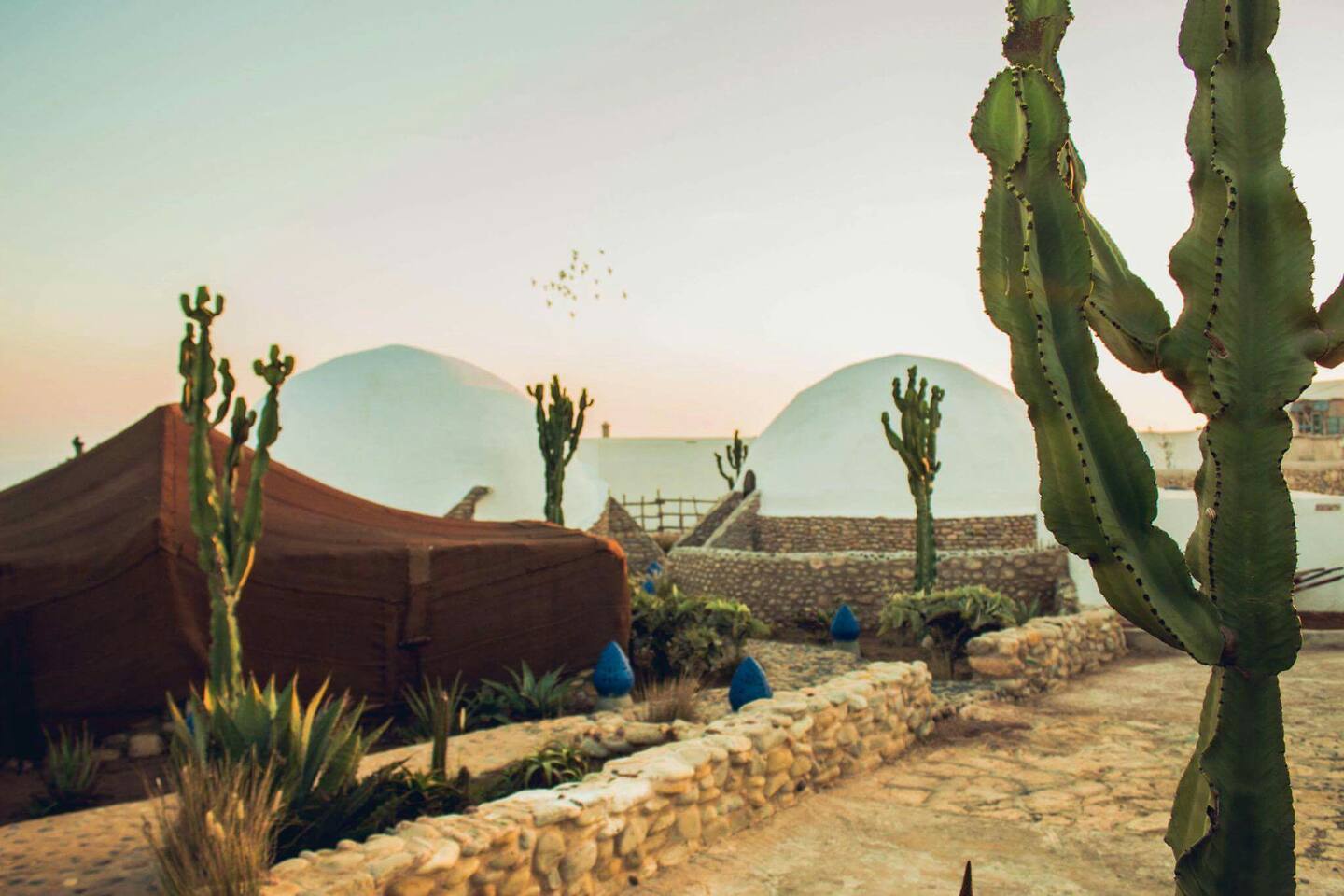 berber tent dav mahal tents for rent in essaouira marrakech