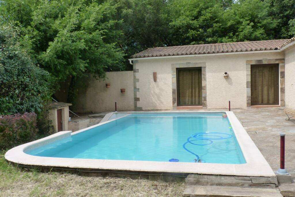 Piscine située sur la face arrière de la maison avec grandes terrasses