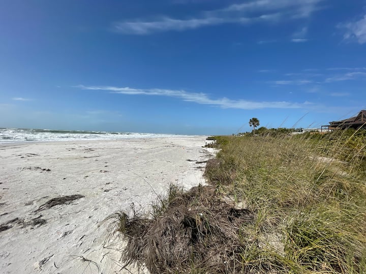 Top 10 PetFriendly Rentals In Longboat Key, Florida Updated 2024