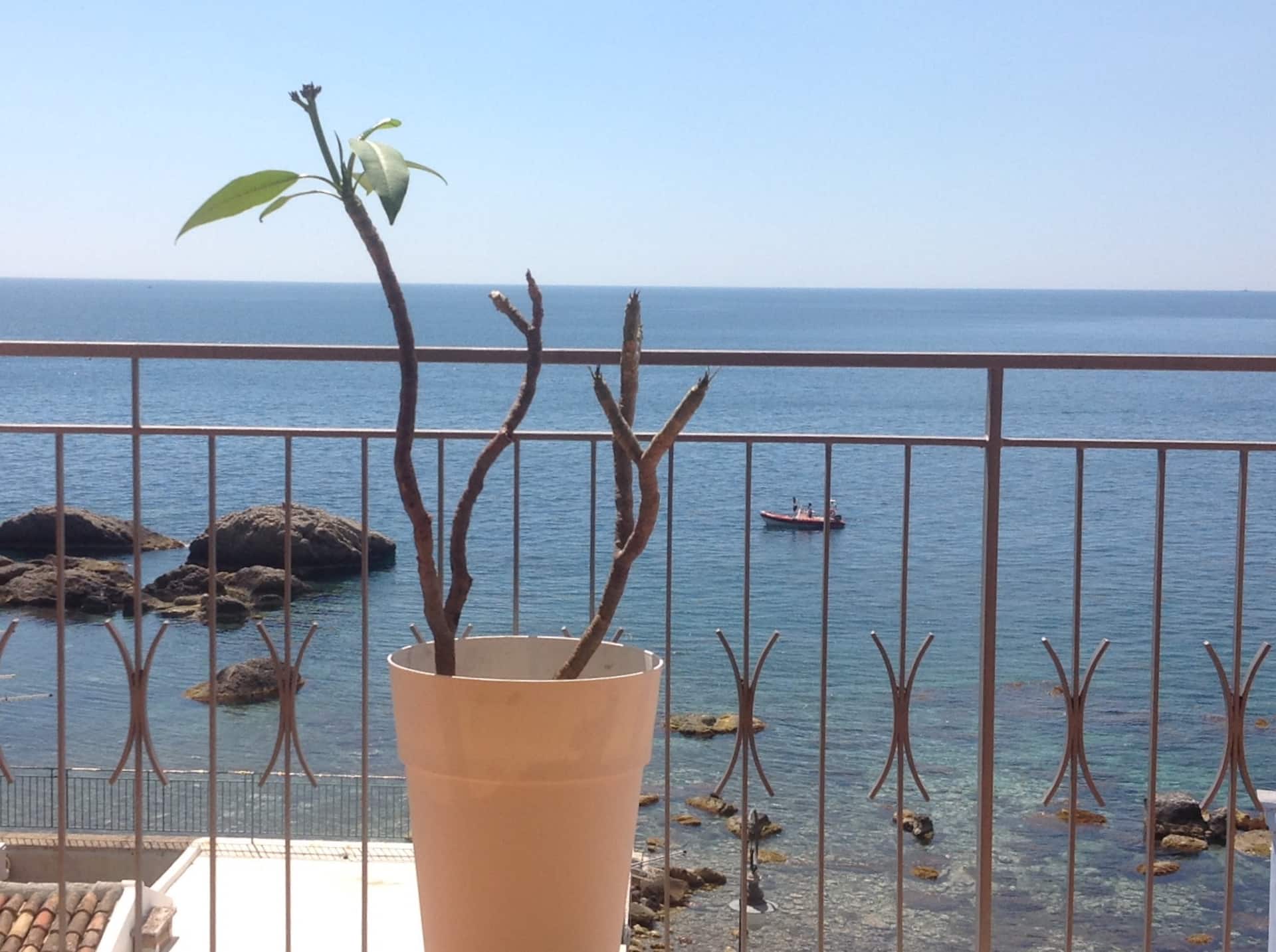 Casa Sara Sea House Gardens Naxos Taormina