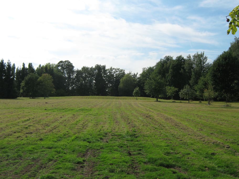 speelweide