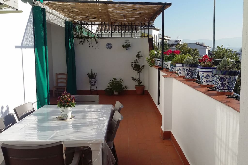 Terrasse ensoleillée avec canisses et store