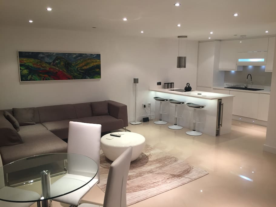 Large modern living area