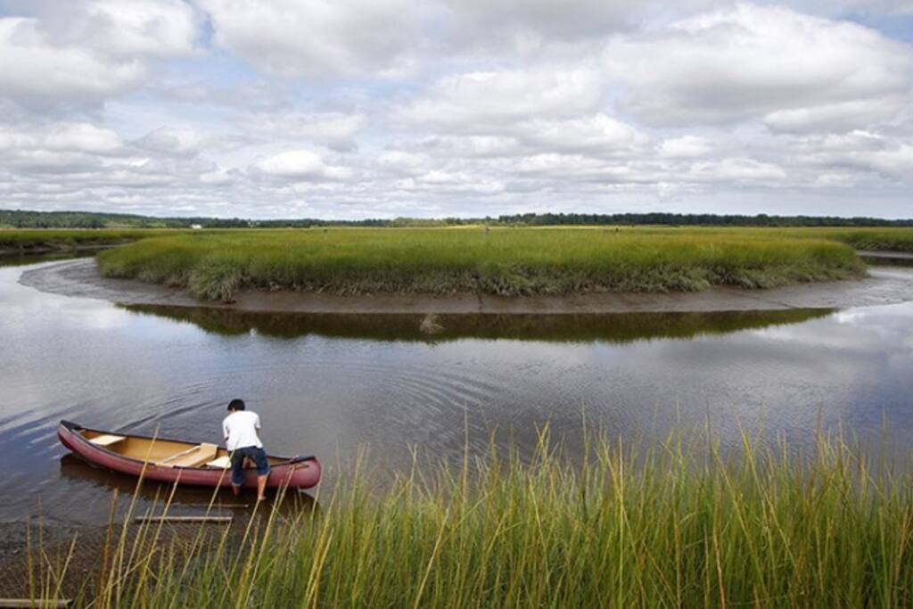 The Marsh