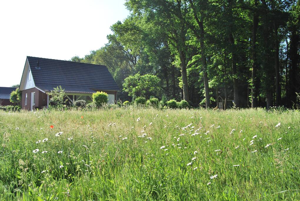 In de zomer heb je prachtig zicht op de bloemenweide.