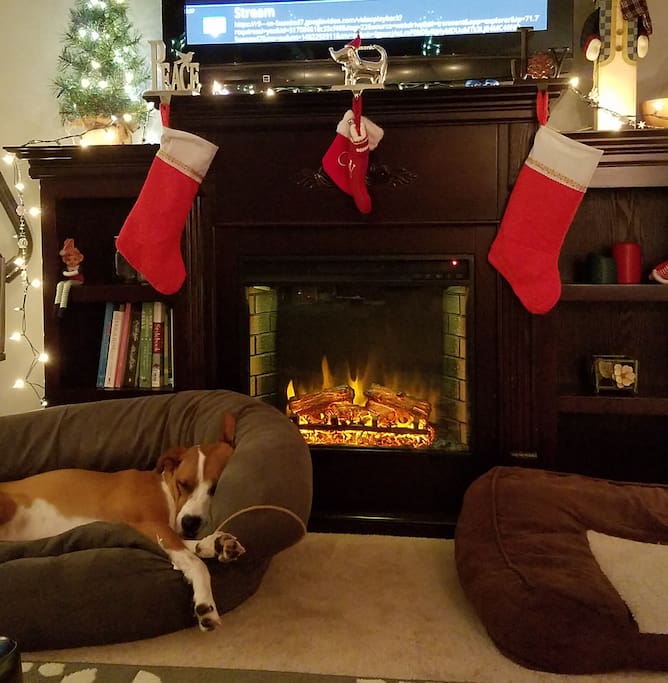Even the beach has a winter! Cozy electric fireplace to warm up next to.
