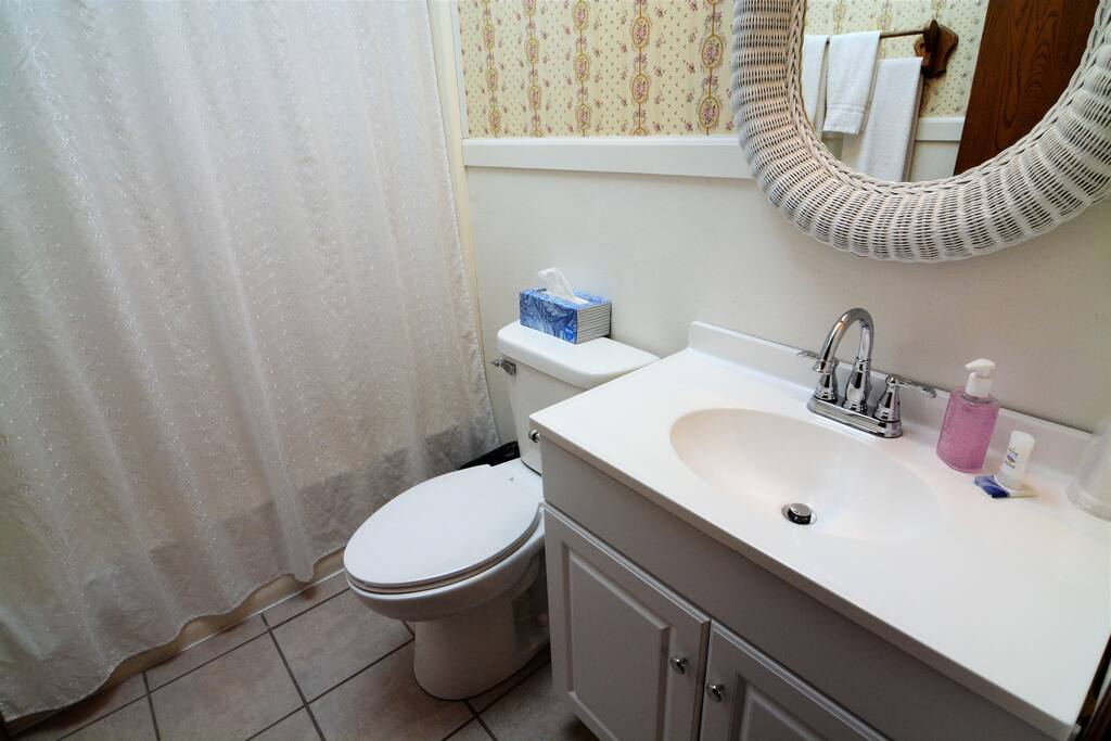 Full private bathroom with skylight.