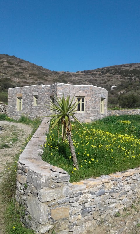 “Βitter Orange”.