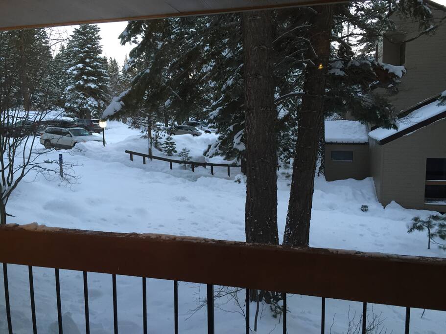 View of the parking from the back deck.