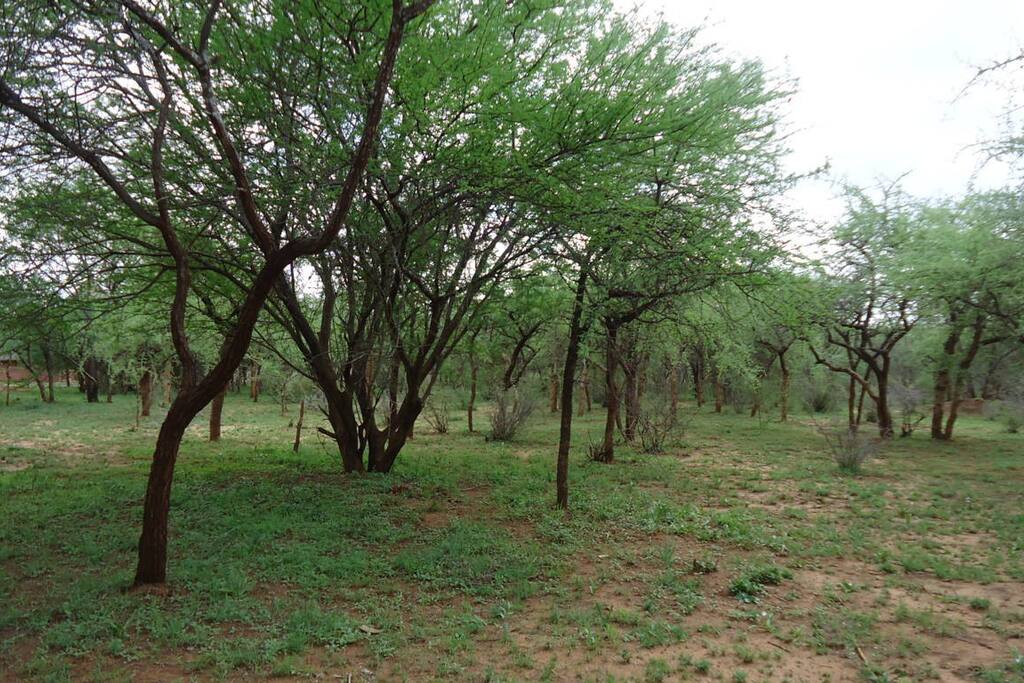 Retreat and camping grounds