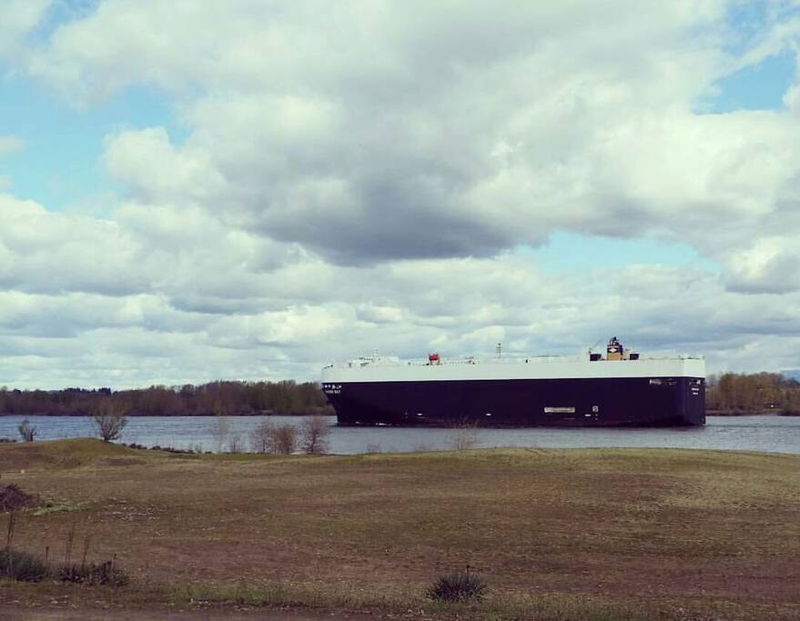 Watch the ships go by!