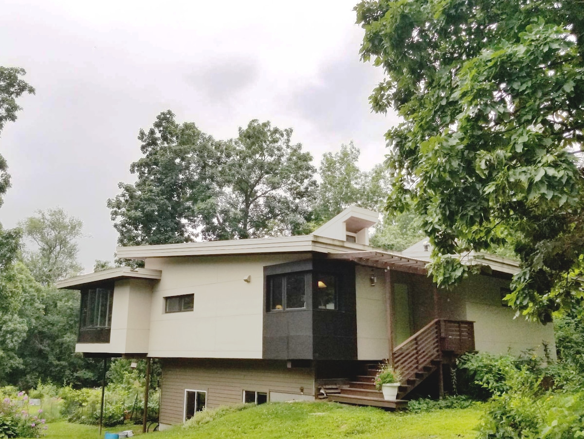 A modern home is nestled among lush greenery, featuring large windows that invite natural light. A deck with steps leads to the entrance, surrounded by garden elements. The structure's clean lines and contrasting colors create a contemporary appearance amidst the forested landscape.