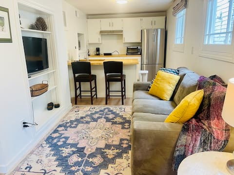 Cozy Downtown 1 Bedroom Apartment