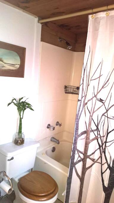 Bathroom toilet and Shower