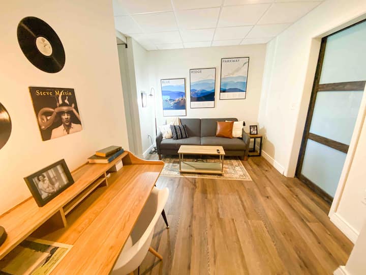 Stylish And Comfy- Convenient South Asheville - Asheville, NC