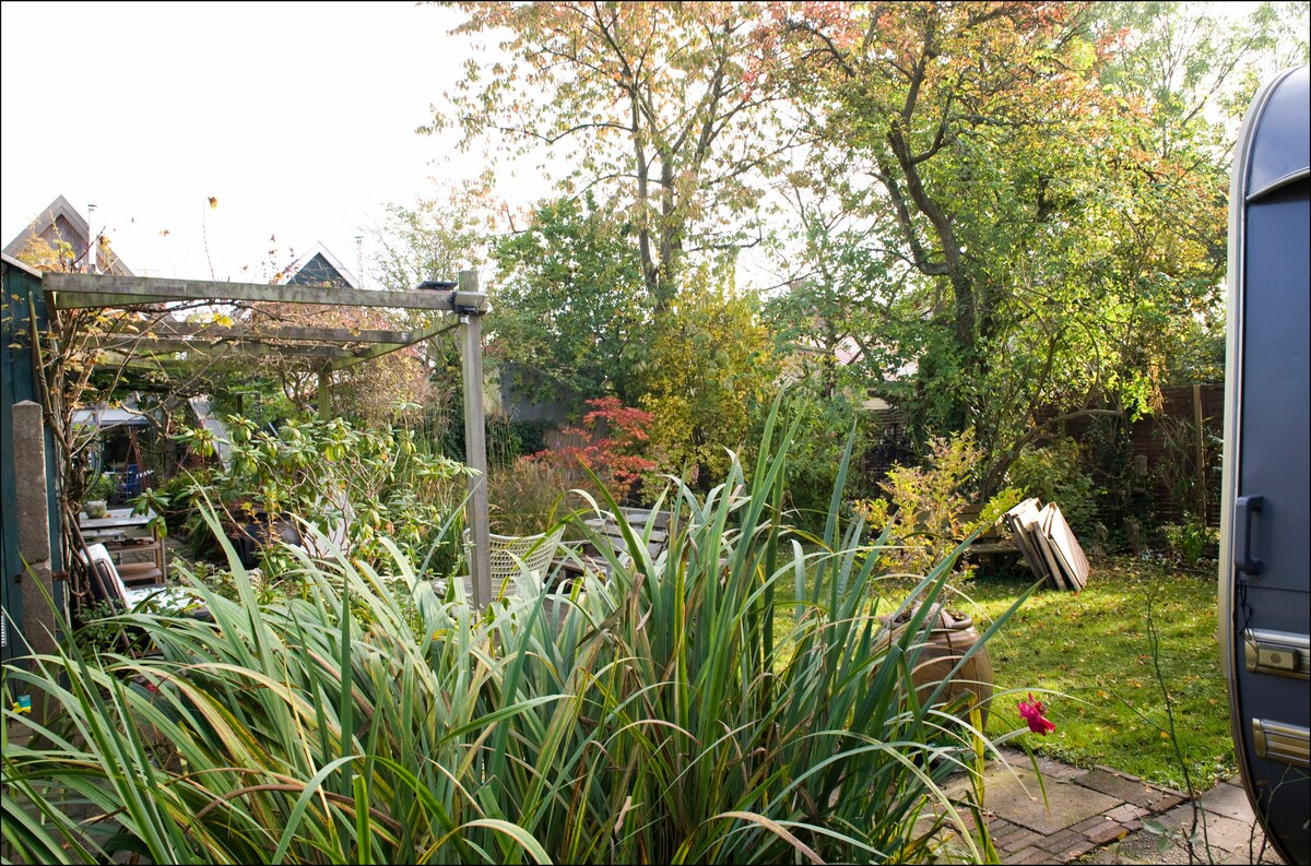 A lush garden space is featured, filled with greenery and colorful foliage. The area includes a stone pathway, wooden structures, and various plants. Sunlight filters through the trees, creating a serene outdoor setting that invites relaxation.