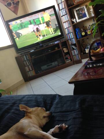 Sevenangel gallery image 5