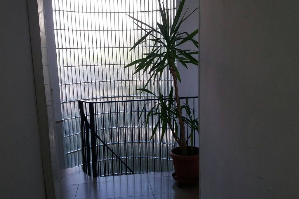 escalera acceso