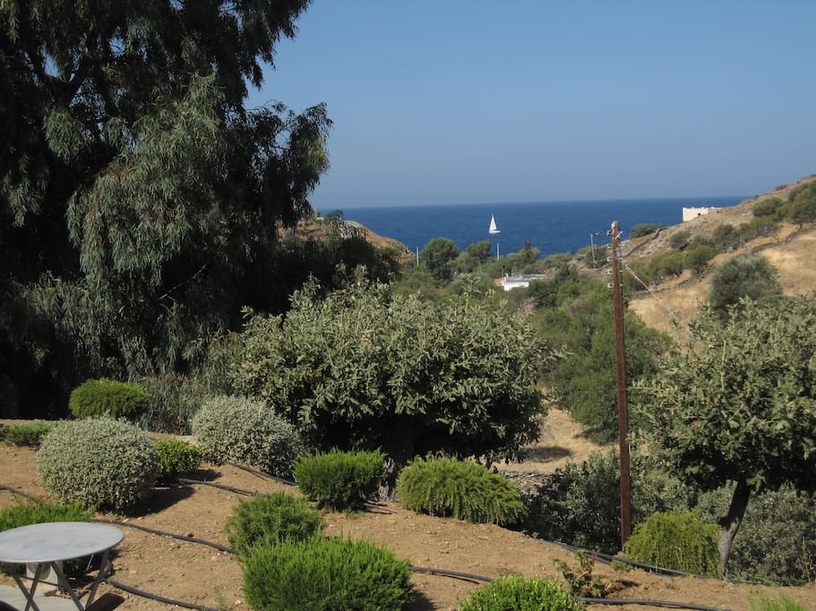 A combination of trees and sea...all this view from the yard.