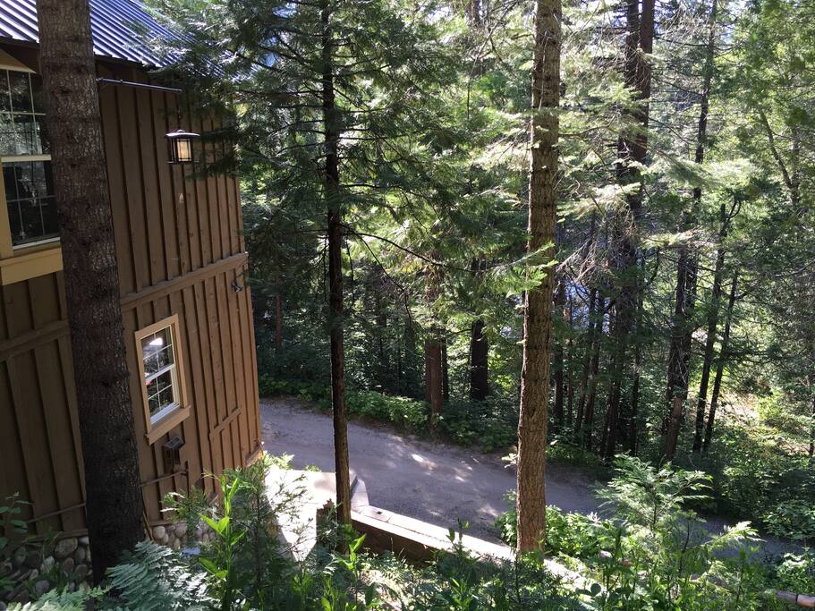 Enjoy the forest view and fresh air from the patio
