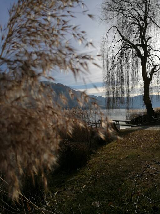6000m2 liegewiese mit eigenem Badesteg und Bootsanleger mit Boje