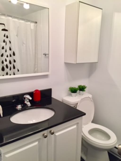 Completely NEWLY renovated bathroom.