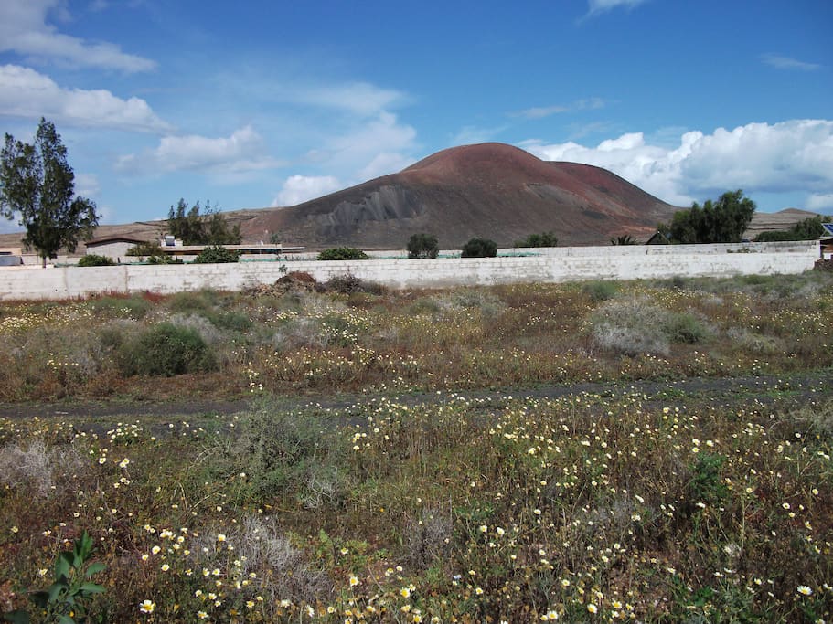 Vistas desde la propiedad hacia el volcán