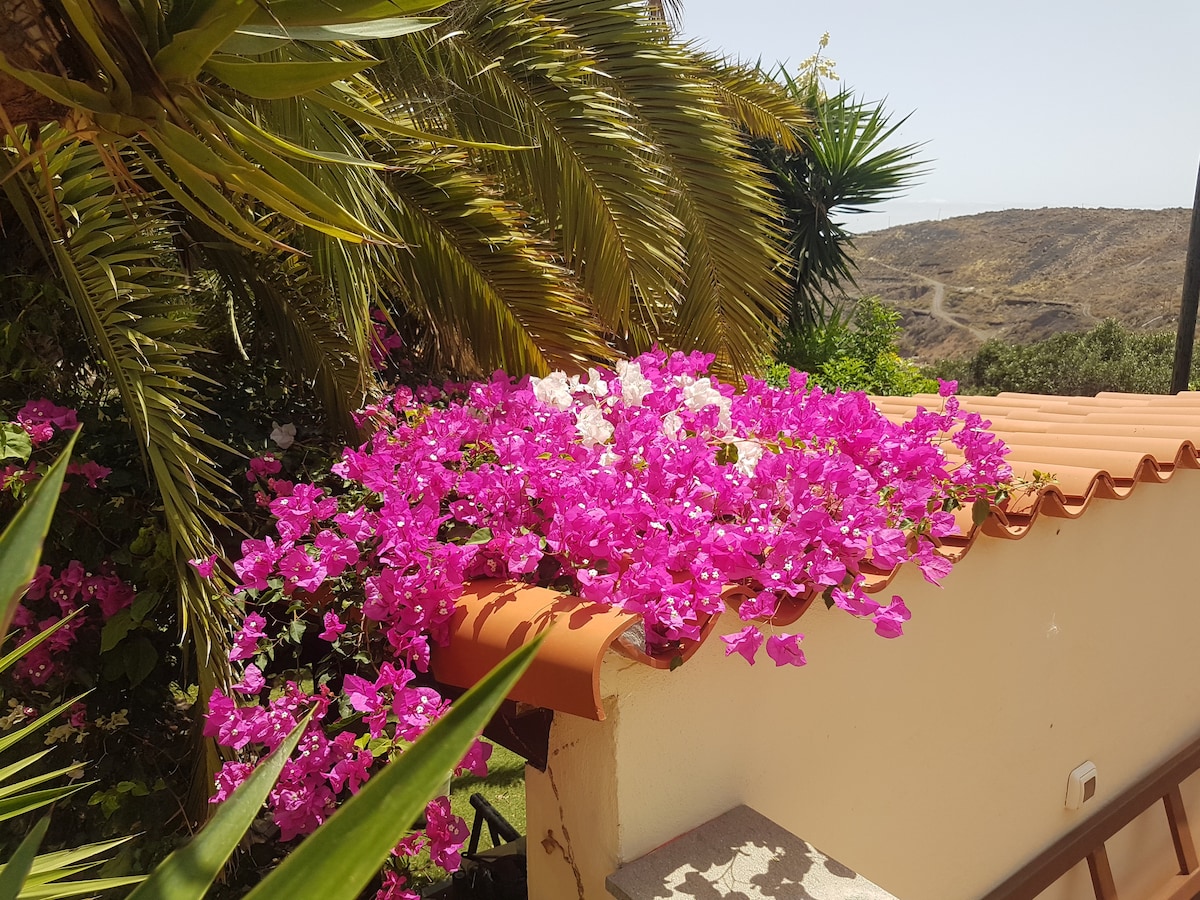 Finca Margarita, Oasis with Sea View - Houses for Rent in Telde, Canary  Islands, Spain - Airbnb