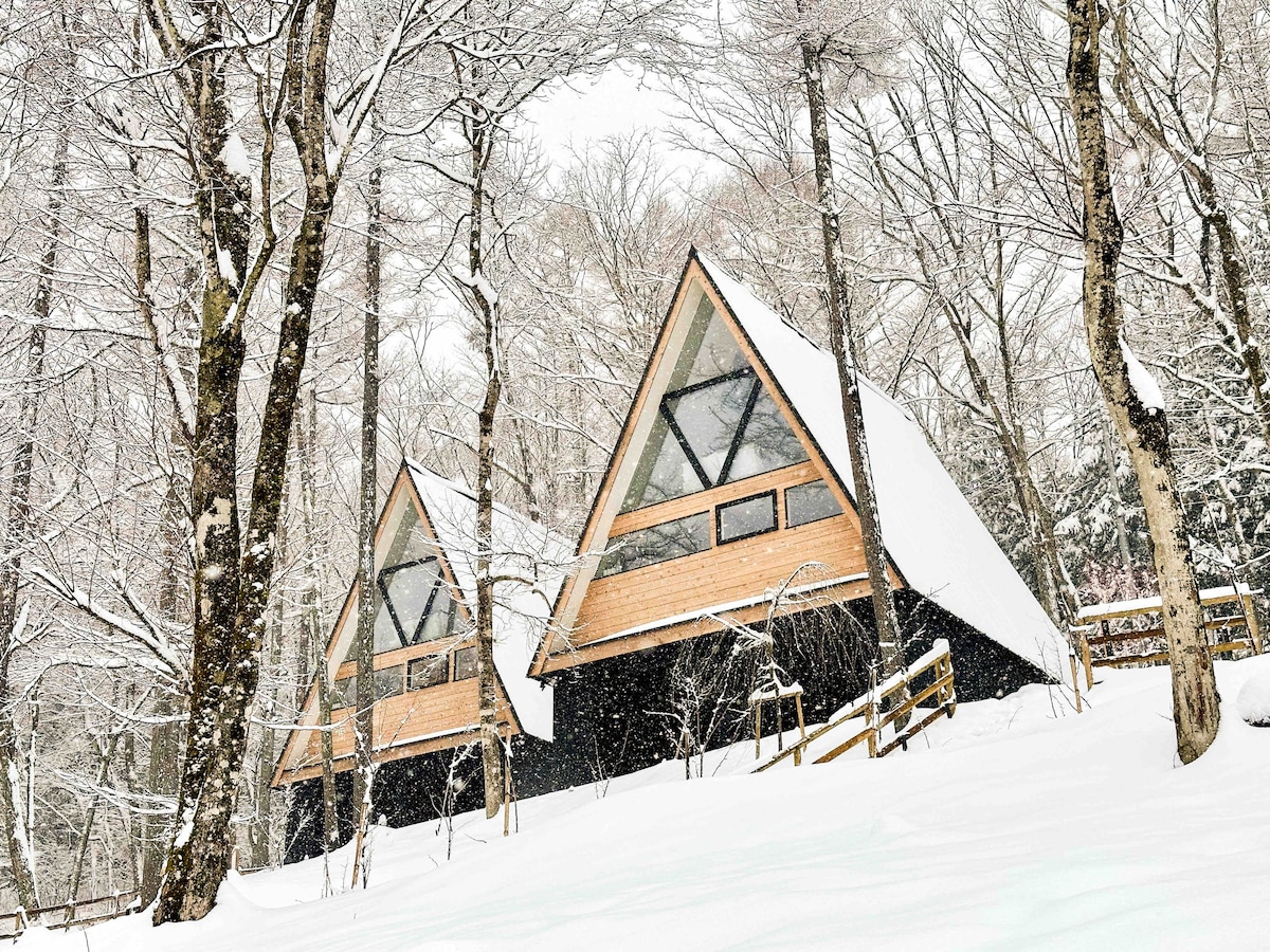 A Frame House, Lake Yamanaka the Mt. Fuji Area(S1) - Houses for
