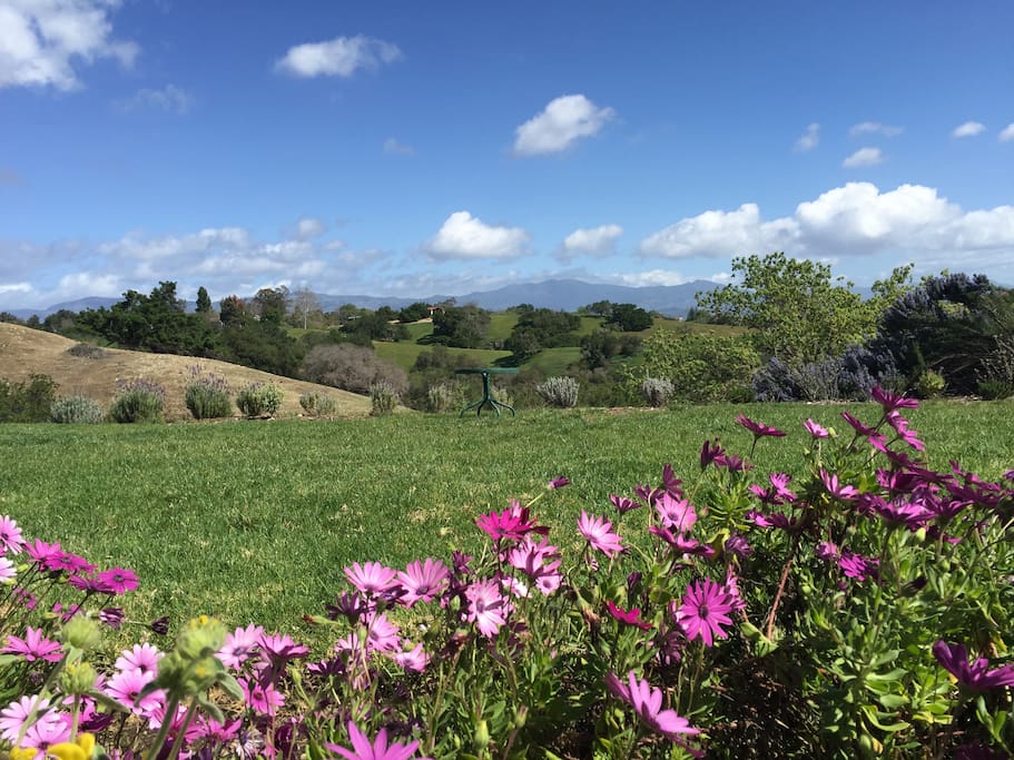 Gorgeous 7 acre private hill top estate for 10-12 guests 5 minutes from wineries, Solvang. Just renovated, this elegant yet relaxed home is reminiscent of a european villa, set high on a hill with dramatic sweeping views.