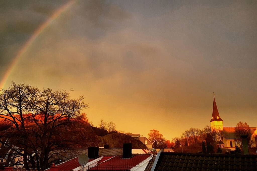 the view from the living room