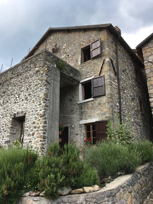 The house