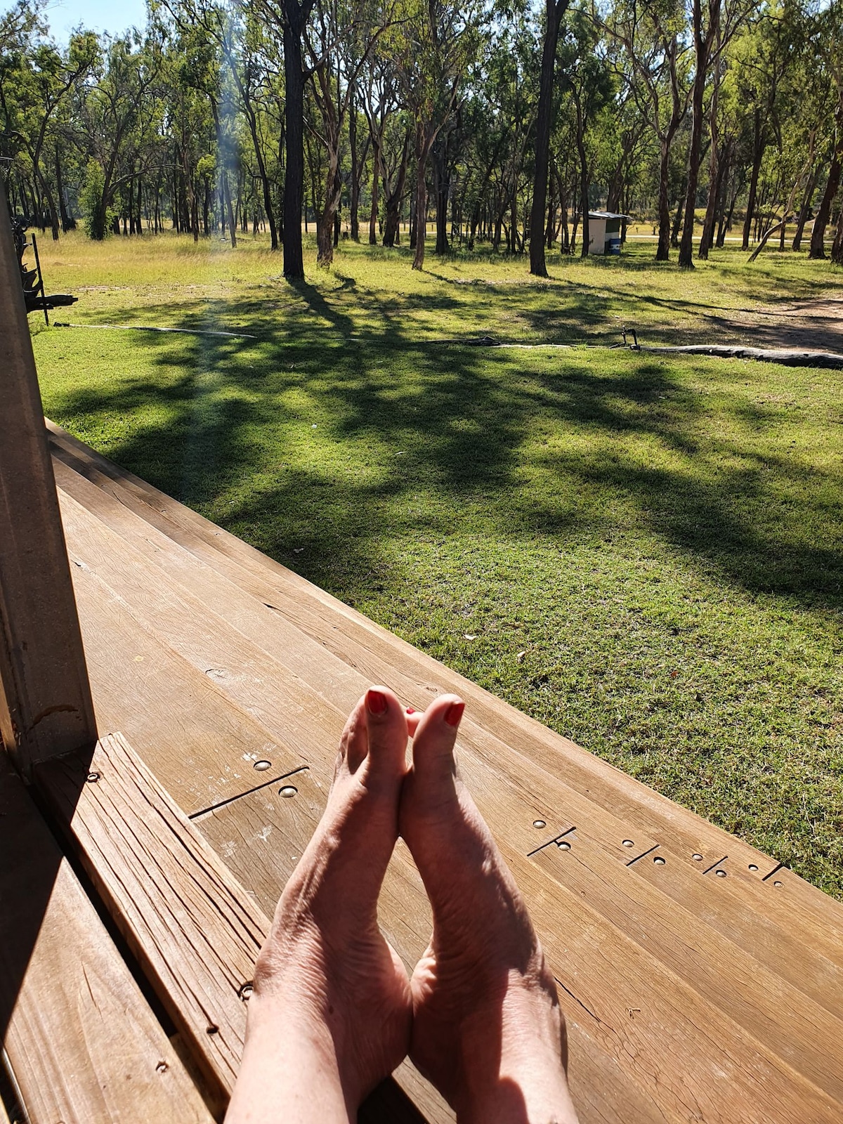A pair of feet rests on wooden decking, with a lush grassy landscape and scattered trees visible in the background. The scene is illuminated by sunlight filtering through the trees, creating dappled patterns of light and shadow on the ground.