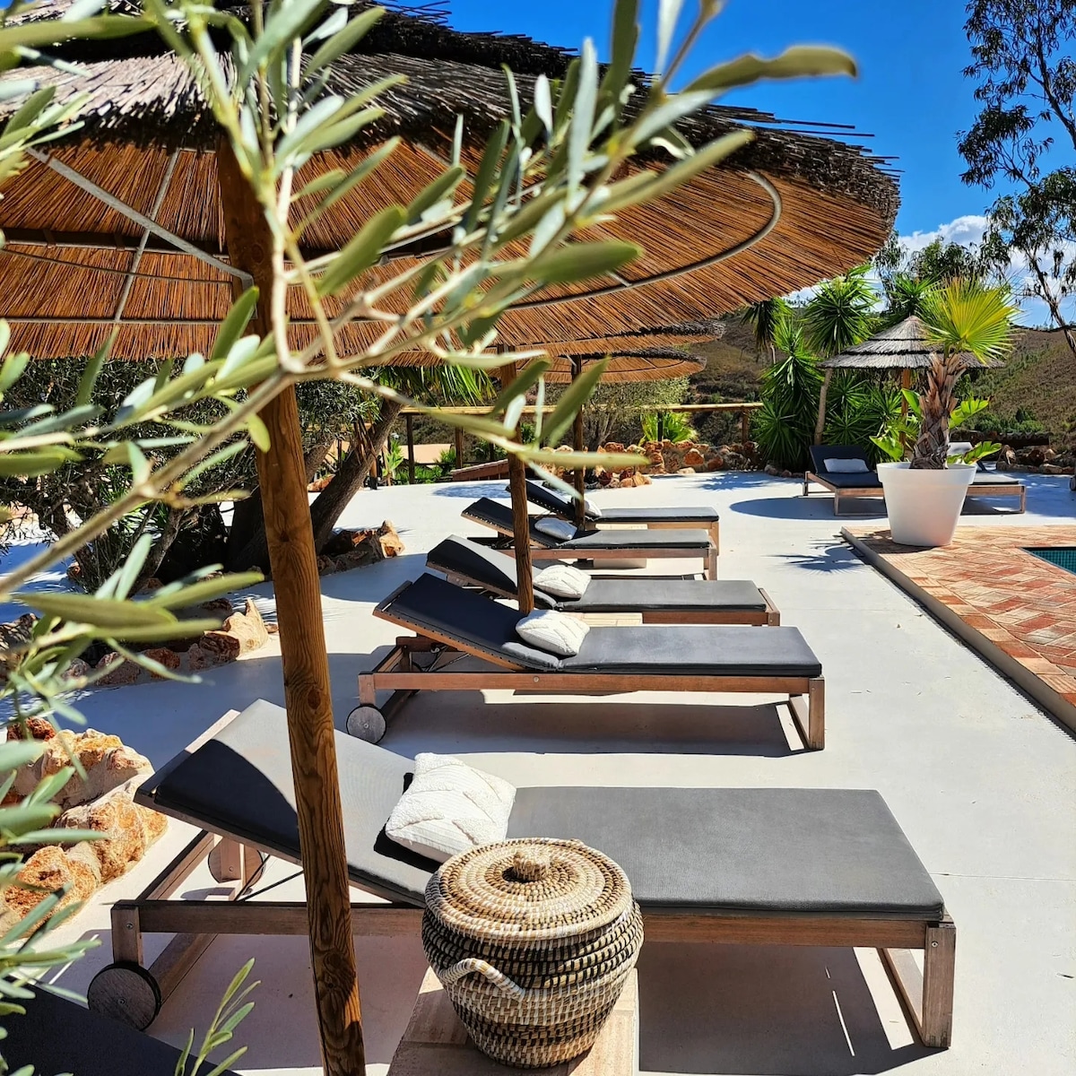 Lounge chairs are positioned under thatched umbrellas on a sunlit patio. A basket adorns a nearby table, and greenery surrounds the area, contributing to a serene outdoor atmosphere. A glimpse of the saltwater pool is visible in the background, enhancing the relaxation appeal.