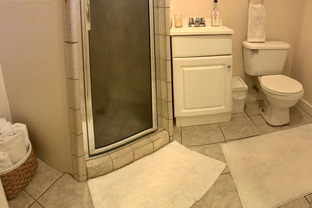 Private Full Bathroom with standing shower