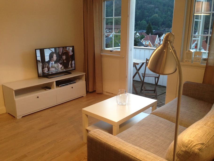 Romslig stue med sofa og TV