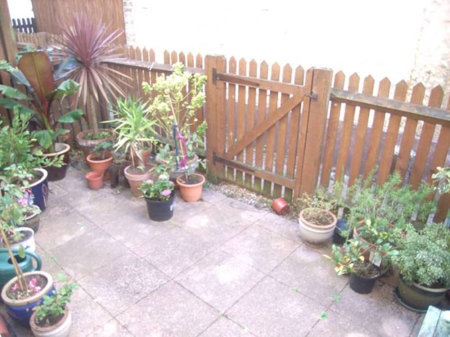 A tiny outdoor space