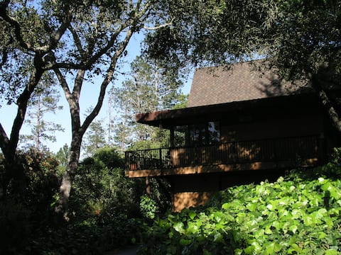 Santa Cruz area serene retreat, sleeps 4