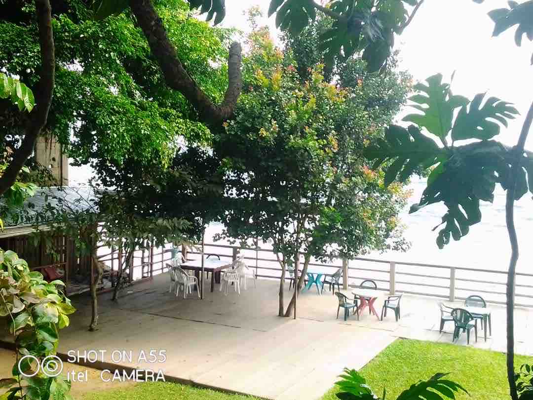 A spacious outdoor area is visible, surrounded by lush greenery. Several tables and chairs are arranged on a wooden deck overlooking the sea. The tranquil atmosphere is complemented by the proximity to the water and the beautiful trees providing shade.