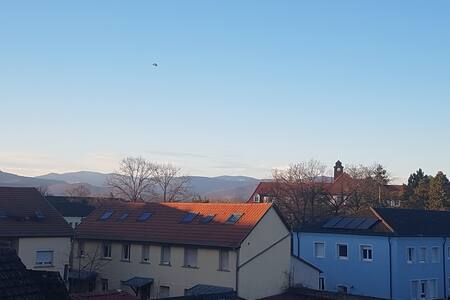 Studio de charme COLMAR