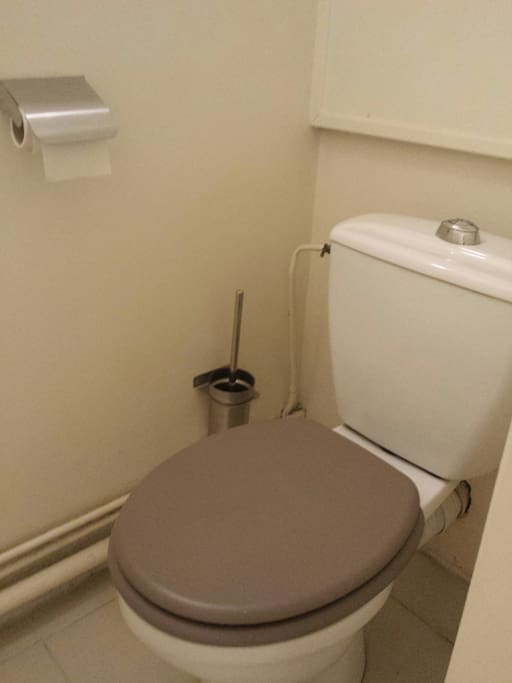 Wc avec double chasse, produit wc, 2 rouleaux de papier toilette â votre arrivée, balai de nettoyage.
Le chauffe-eau est au-dessus des Wcs.