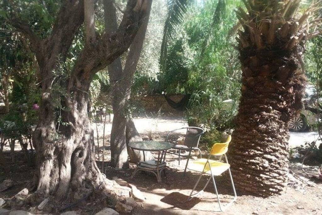 Breakfast in the garden