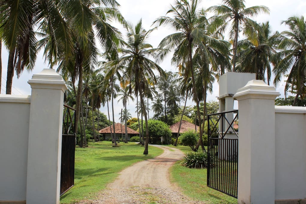 The Entrance to the Property